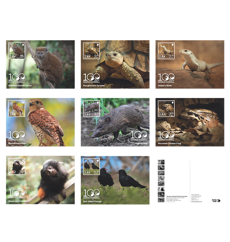 A set of eight postcards featuring various animals and plants, with a focus on wildlife, each postcard has '100' text on it.
