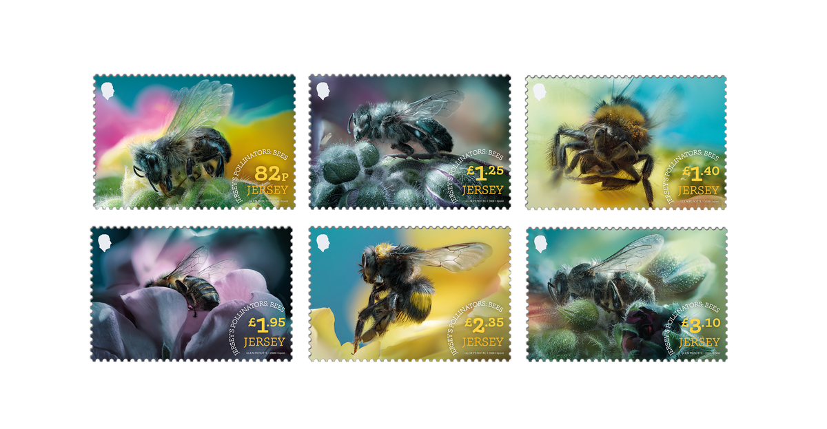 Jersey’s Pollinators Bees celebrating the island's local pollinators
