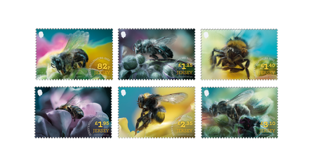 Jersey’s Pollinators Bees celebrating the island's local pollinators