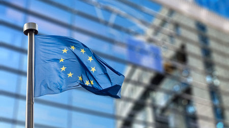 EU Custom Changes