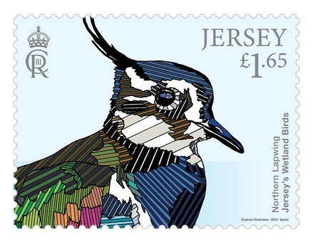 Jersey's Wetland Birds