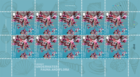 EUROPA Underwater Fauna and Flora - £3.75 Sheet