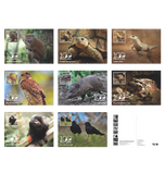 Postcard Set Subscription