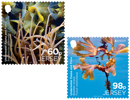 EUROPA Underwater Fauna and Flora - Pocket Money Set