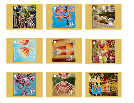 EUROPA: Underwater Fauna and Flora Postcard Set