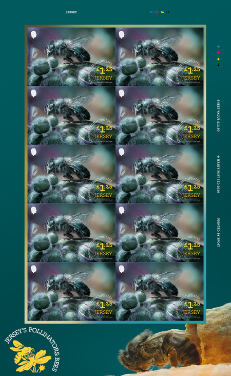 Jersey's Pollinators: Bees - £1.25 Sheet