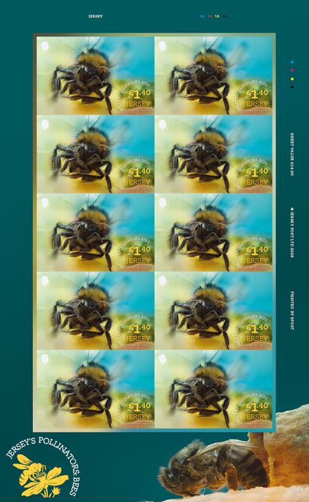 Jersey's Pollinators: Bees - £1.40 Sheet