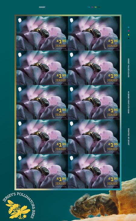 Jersey's Pollinators: Bees - £1.95 Sheet