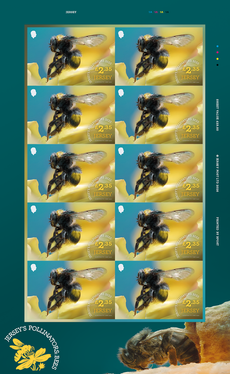 Jersey's Pollinators: Bees - £2.35 Sheet
