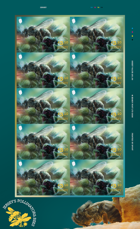 Jersey's Pollinators: Bees - £3.10 Sheet