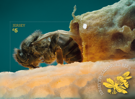 Jersey's Pollinators: Bees - Miniature Sheet