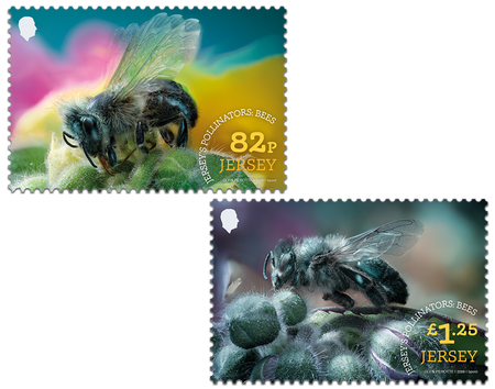 Jersey's Pollinators: Bees - Pocket Money Set