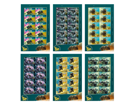 Jersey's Pollinators: Bees - Sheet Set