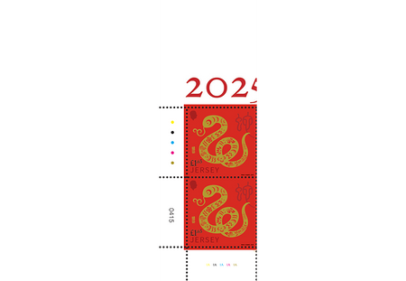 2025 Lunar New Year - Year of the snake- Pair