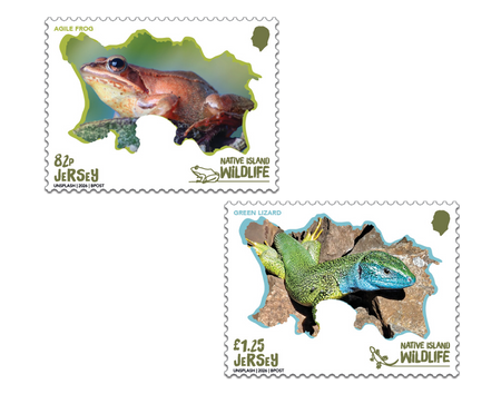 Native Island Wildlife - Pocket Money Set