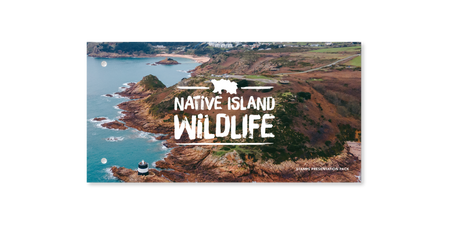 Native Island Wildlife - Stamps Presentation Pack