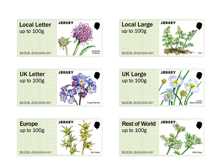 JE02 Protected Plants