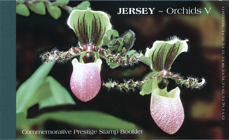 2004 Orchids V Prestige Booklet